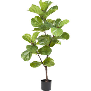 Hoyz Greenery - Kunstplant Ficus Tabaksplant 120 cm