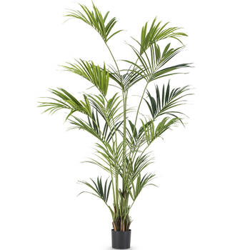 Hoyz Greenery - Kunstpalm Kentia 220 cm