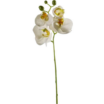 Emerald Kunstbloem Orchidee - 56 cm - wit - losse tak - kunst zijdebloem - Phalaenopsis - Kunstbloemen