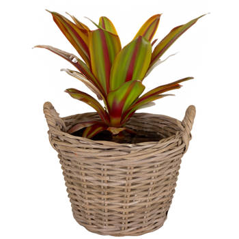 Mega Collections Planten/bloemen mand Levi - rotan - naturel - D25 x H18 cm - plantenpot voor buiten - Plantenpotten