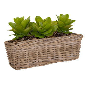 Mega Collections Planten/bloemen mand Levi - rotan - naturel - 50 x 15 x 17 cm - plantenpot voor buiten - Plantenpotten