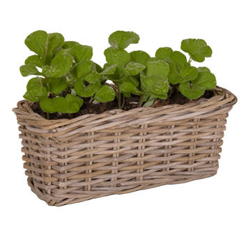 Mega Collections Planten/bloemen mand Levi - rotan - naturel - 40 x 15 x 17 cm - plantenpot voor buiten - Plantenpotten