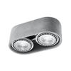 Sollux Plafondlamp Basic 2 lichts beton