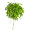 Hoyz Greenery - Kunst hangplant Varen met wortels d55 cm met hangsysteem