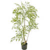 Hoyz Greenery - Kunstplant Ruscus 120 cm