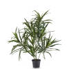 Hoyz Greenery - Kunstplant Dracaena Reflexa in pot 63 cm