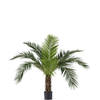 Hoyz Greenery - Kunstpalm Phoenix Canarie 160 cm