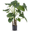 Hoyz Greenery - Kunstplant Alocasia 120 cm