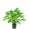Hoyz Greenery - Kunstplant Calathea Makoyana 75 cm