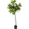 Hoyz Greenery - Kunstplant Ficus Tabaksplant 180 cm