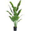 Hoyz Greenery - Kunstplant Strelitzia Nicolai 165 cm