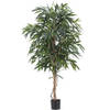 Hoyz Greenery - Kunstplant Longifolia Royaal 180 cm