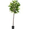 Hoyz Greenery - Kunstplant Ficus Tabaksplant 210 cm