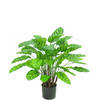 Hoyz Greenery - Kunstplant Calathea Makoyana Deluxe 75 cm