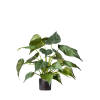 Hoyz Greenery - Kunstplant Alocasia 51 cm