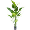 Hoyz Greenery - Kunstplant Strelitzia 210 cm