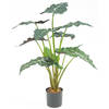 Hoyz Greenery - Kunstplant Alocasia 67 cm