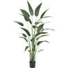 Hoyz Greenery - Kunstplant Heliconia 180 cm