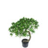 Hoyz Greenery - Kunst Bonsaiboom Pine 55 cm