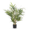 Hoyz Greenery - Kunstplant Bamboe Royaal 70 cm