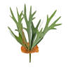 Hoyz Greenery - Kunstplant Staghorn 53 cm