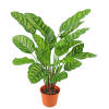 Hoyz Greenery - Kunstplant Calathea Makoyana 60 cm