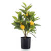 Emerald Kunstplant citrusfruit citroen boom in pot - 40 cm - geel - kunst plant met vruchten - Kunstplanten