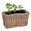 Mega Collections Planten/bloemen mand Levi - rotan - naturel - 30 x 15 x 17 cm - plantenpot voor buiten - Plantenpotten