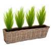 Mega Collections Planten/bloemen mand Levi - rotan - naturel - 60 x 15 x 17 cm - plantenpot voor buiten - Plantenpotten