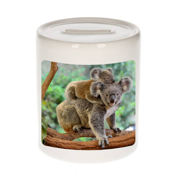 Foto koala spaarpot 9 cm - Cadeau koalaberen liefhebber - Spaarpotten