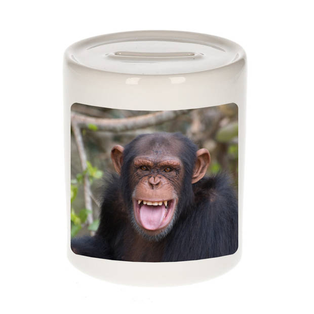 Foto chimpansee spaarpot 9 cm - Cadeau apen liefhebber - Spaarpotten