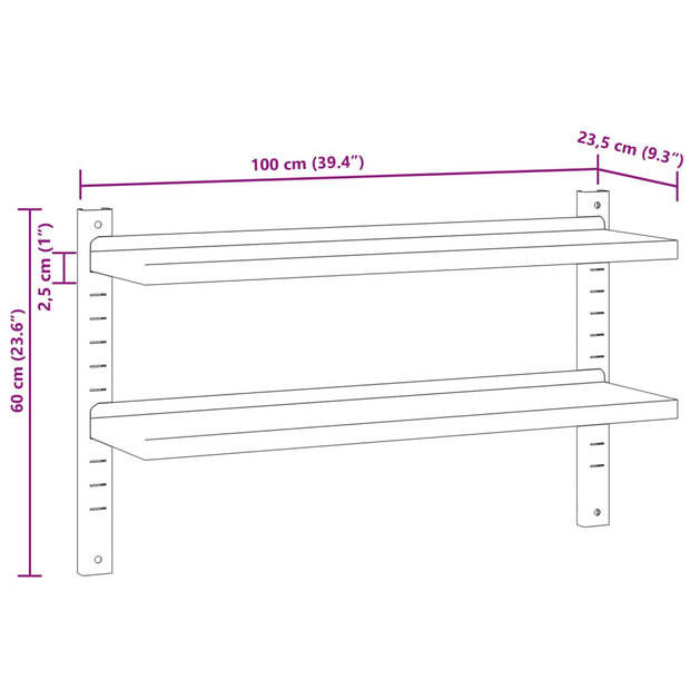 vidaXL Wandschap 2-laags 100x23,5x60 cm roestvrijstaal zilverkleurig