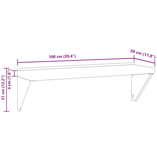 vidaXL Wandschap 100x30x31 cm roestvrijstaal zilverkleurig