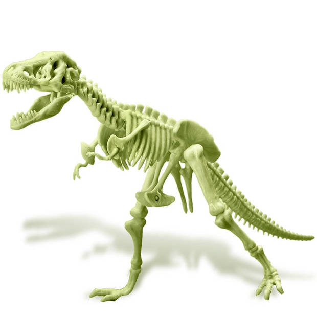 4M T-Rex Skelet Glow In The Dark