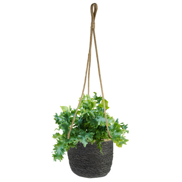 Ter Steege Plantenpot - hangend - grijs - zeegras - 17 x 14 cm - Plantenpotten