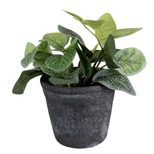 HAES DECO - Bloempot Ø 12x10 cm Grijs Keramiek Bloempot binnen Plantenpot Plant pot