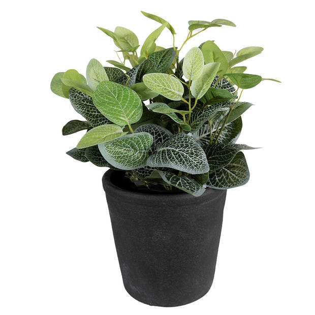 HAES DECO - Bloempot Ø 16x16 cm Grijs Keramiek Bloempot binnen Plantenpot Plant pot