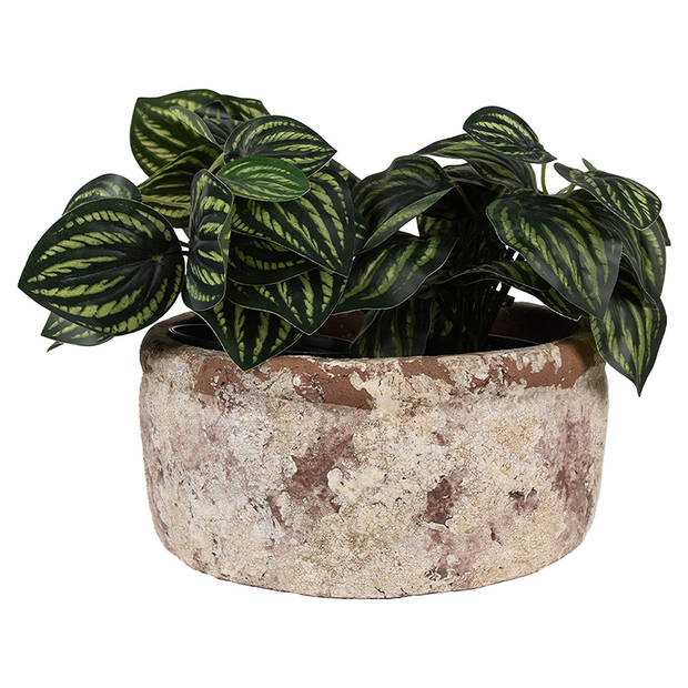 HAES DECO - Bloempot Ø 23x11 cm Beige Bruin Terracotta