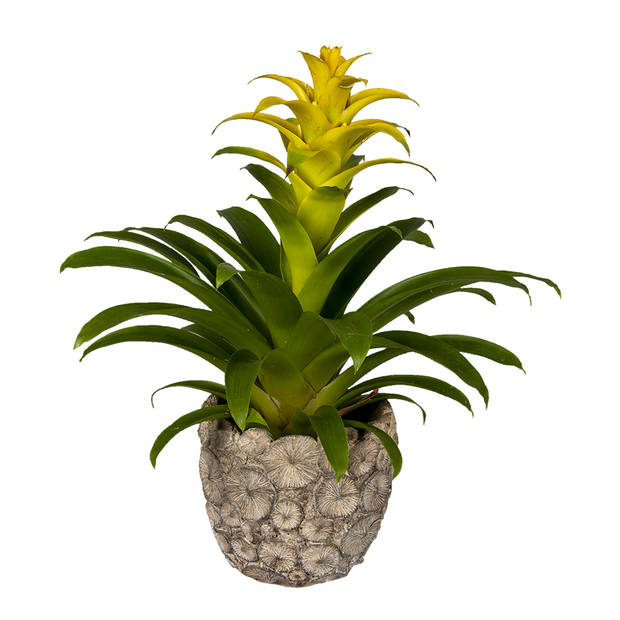 HAES DECO - Bloempot Ø 16x15 cm Grijs Steen Rond Bloempot binnen Plantenpot Plant pot