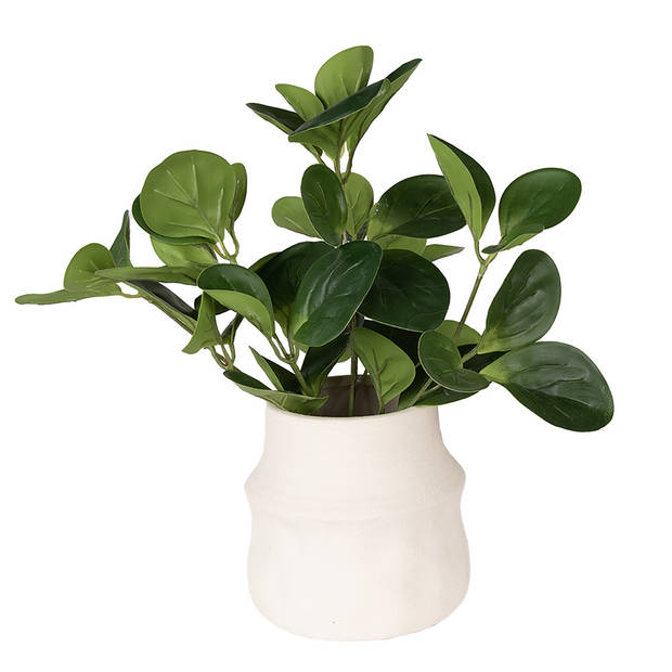 HAES DECO - Bloempot Ø 17x16 cm modern Wit Keramiek Bloempot binnen Plantenpot Plant pot