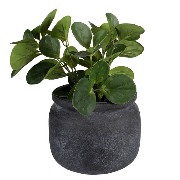 HAES DECO - Bloempot Ø 20x15 cm Grijs Keramiek Rond Bloempot binnen Plantenpot Plant pot