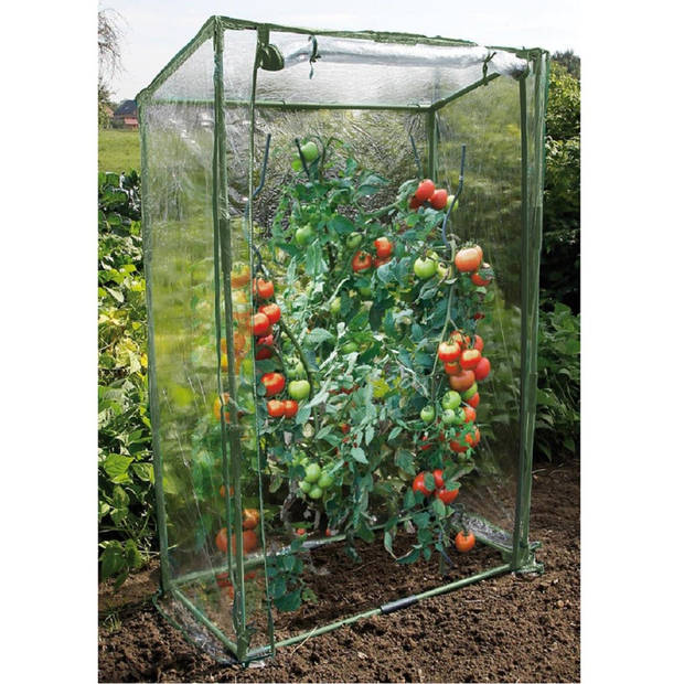 Tomaten kweekkas met dubbele ritssluiting 150 cm - kweekkassen