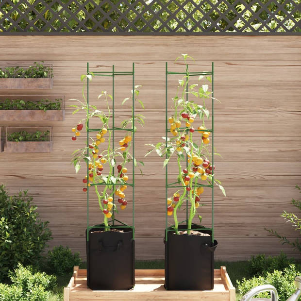 vidaXL Tomatenkooi met plantenzak 2 st 154 cm staal en polypropeen