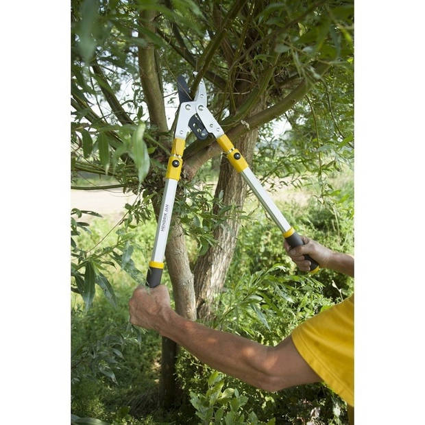 Uitschuifbare takken snoeischaar tot 100 cm - Snoeischaren