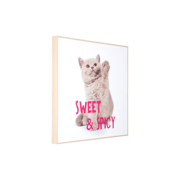 Present Time - Wall Art Kitten Sweet & Spicy - Multicolor