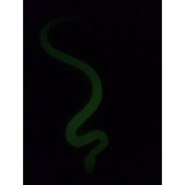 Plastic dieren glow in the dark slangen 15 cm - Speelfiguren