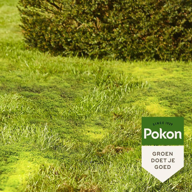 Pokon Mos Weg! 50 m2 - 1750gr