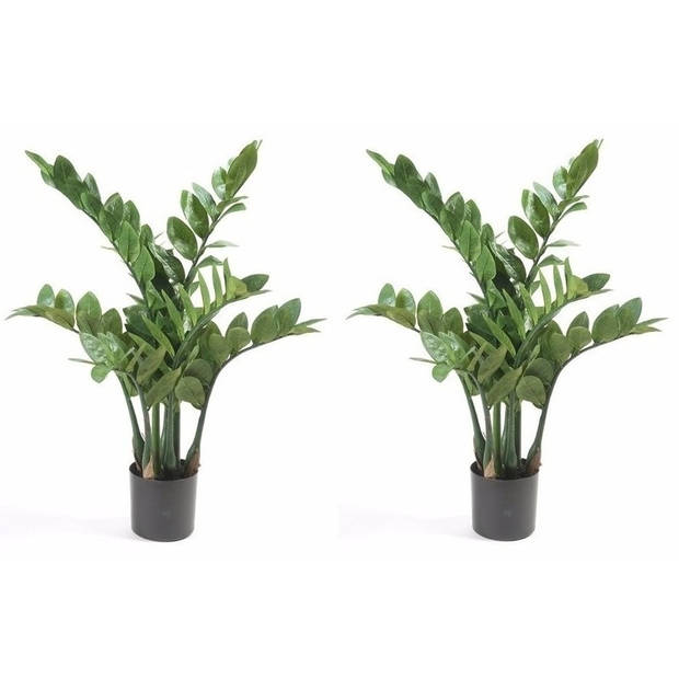 2x Zamioculcas kunstpalmen 70 cm - Kunstplanten