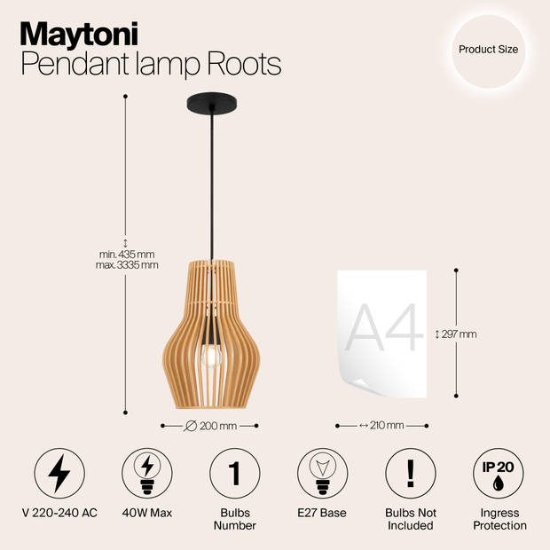 Maytoni - Hanglamp Roots - Zwart - Ø20