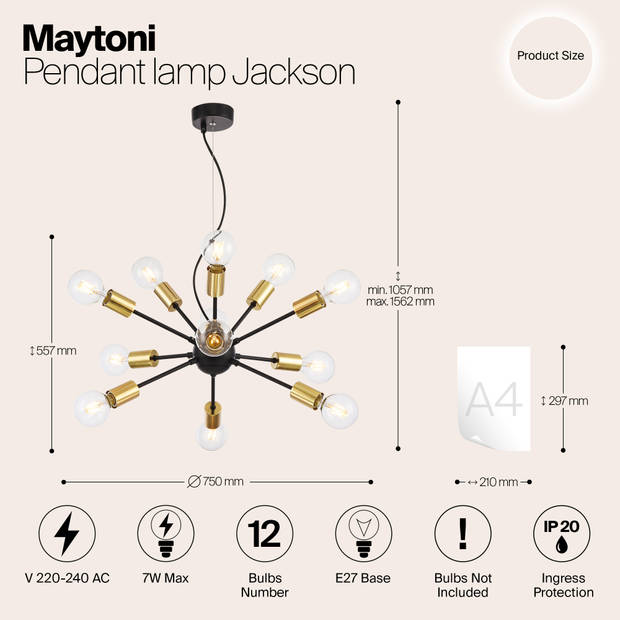 Maytoni - Hanglamp Jackson - Zwart - Ø75